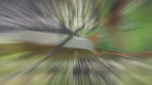 Scotts Green Max 15.15 lbs. 5,000 sq. ft. Florida Lawn Fertilizer Plus Iron Supplement for Greener Grass 44701