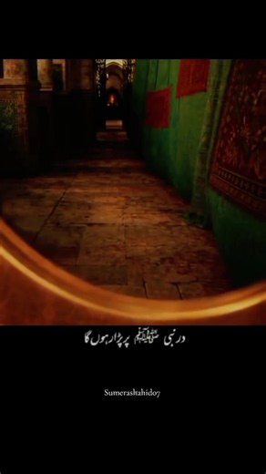 Exploring the Shahid Family Names