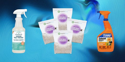 Are You Using the Best Product to Keep Spiders Out of Your Home?