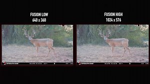 7K views · 95 reactions | There’s a new firmware update from our friends at Stealth Cam that allows you to upload photos to your phone in a higher resolution than before on their new Fusion wireless cameras. Big upgrade for those of you who use them! | Michigan Out-of-Doors TV | Facebook
