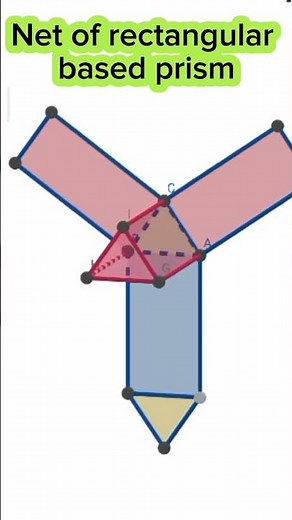 net of rectangular prism #3d #mensuration #visual #geometry