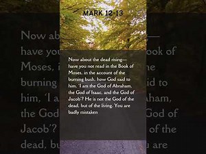 Mark 12-13 | 10 - 15 Minutes New Testament Daily Bible Reading Challenge