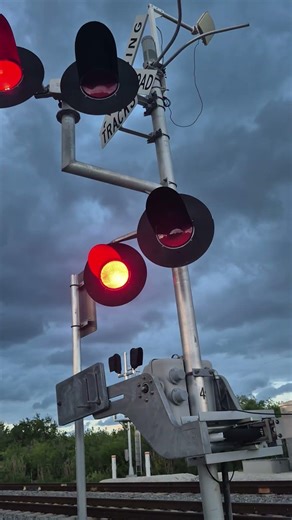 DJ Wilcox Railroad crossing Brightline At 7:41 P.M