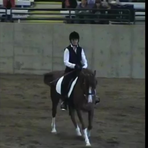 A little dreamy slow canter. Feeling the ride. #Dreamy #SlowCanter #Riding #Horseback