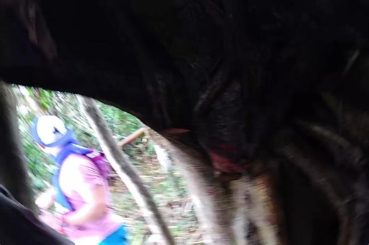 Ang mahiwagang Balete tree | I Love BACON tv