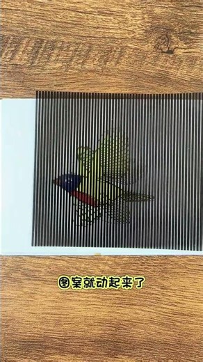 Isn’t it amazing? Raster animation is incredible. Popular science. Raster animation.