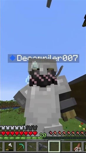 Mincecraft Horror mods be like