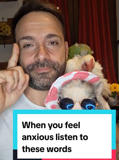 Funny Words to Remember When You Feel Anxious | Video Divertenti