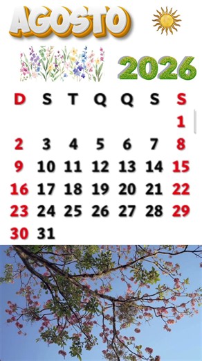 CALENDÁRIO DE AGOSTO DE 2026 #shorts