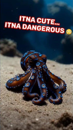 Itna Cute… Itna Dangerous! 😳 | Blue-Ringed Octopus #shorts #factsoceanindia #marinelife