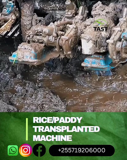 RICE TRANSPLANTER MACHINE/PADDY TRANSPLANTER/TRANSPLANTING MACHINE _Motor driven Rice/paddy transplanter Machine PADDY/RICE 1.Ukubwa 110cm x 140cm x 45 cm 2.Mashine inauwezo wa kupanda akari 1 Kwa saa 1(planting area 1 acres per hour ) ,4 rows ,row to row 20cm ,(Mistari 6 , umbali kati ya mstari mmoja na mwingi 20cm ) 3.Ukubwa wa injini (Engine size ) GX-35 4.Matumizi ya Mafuta (Fuel consumption ) 0.5 liter per hour 5.Price:very competitive price 6.Made in Vietnam CONTACT Tell:255760312203 Tunap