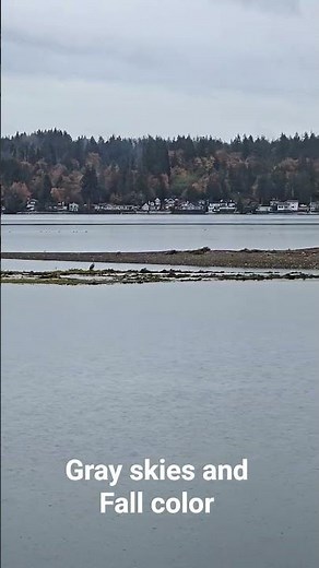 Gray skies, fall colors and rain
