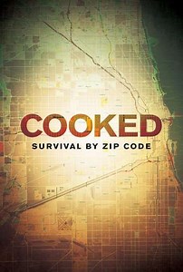 Cooked: Survival by Zip Code (2019) - Movie