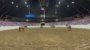 347K views · 9.4K reactions | Here is a great little video, taken by...