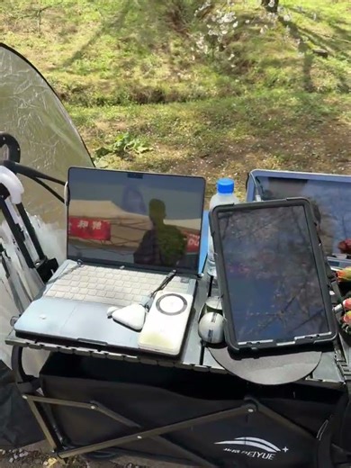 Dinner Time Chronicles: Uncover Culinary Secrets