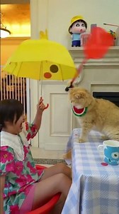 ''Smart Cat Cures Girl’s Sneezing in a Funny Way!''