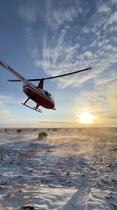 Well hello there, Texas panhandle… we’re back for more. Let’s see how many coyotes we can get this time with snow on the ground in late March! | Pork Choppers Aviation - The Best Helicopter Hog Hunting Outfitter