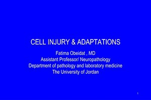 CELL INJURY &amp; ADAPTATIONS - SlideServe