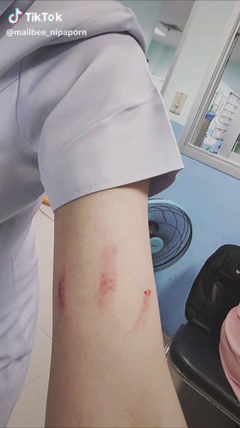 Hoshishi บน TikTok