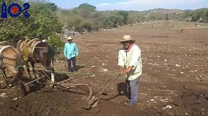 LA VIDA EN EL CAMPO ES MÁS HERMOSA FRANCISCO ANTÚNEZ CORRALES SIN DUDA RECORDAR ES VIVIR. SIEMPRE ES UN GUSTO SALUDARLOS Y COMO NO PODEMOS SALIR DE LA CIUDAD NOS FUIMOS AL CAMPO A PREPARAR LA TIERRA Y ASÍ LLEVARLES ALGUNAS IMÁGENES DE LO QUE ESTÁ PASANDO EN NUESTROS PUEBLOS PRINCIPALMENTE CON LOS CAMPESINOS QUE NO PUEDEN QUEDARSE EN CASA Y TIENEN QUE SEMBRAR SU TIERRA PORQUE EL TEMPORAL SE PASA. SIN DUDA QUE CADA UNO DE USTEDES TIENE UNA HISTORIA QUE CONTAR Y GRANDES MOMENTOS QUE RECORDAR NO POD