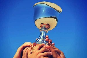 AFA names winners of Consumer Choice Awards - IFA