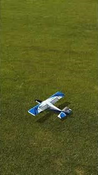RealFlight Evolution E-flite UMX Turbo Timber Evolution 3s