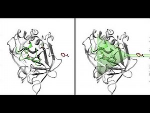 Funnel-Metadynamics (FM)