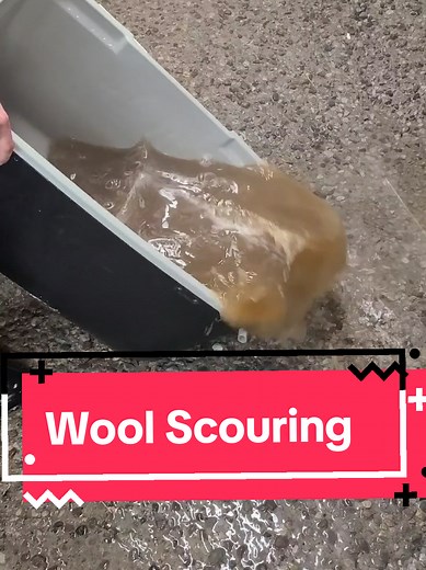 How to Wash Wool: A Detailed Guide