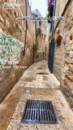 Balqees Shaban (@balqees.shaban5)’s videos with original sound - Balqees Shaban