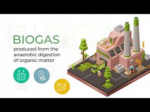 ēQATOR - Biogas, Syngas and Methanol