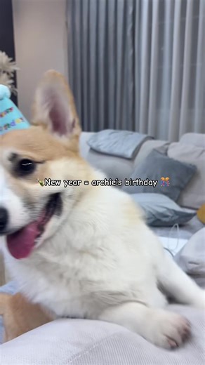 Celebrating Our Baby's First Birthday Together