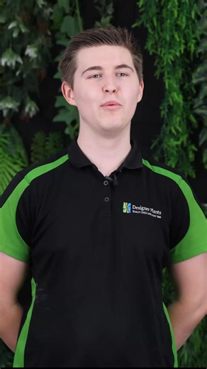 4.1K views |  Meet Will - the warehouse manager at Designer Plants!...