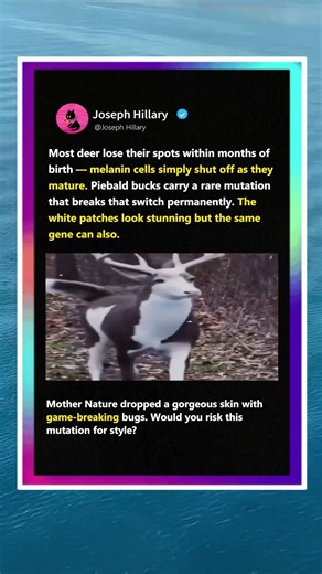 The Fatal Beauty of This Rare White Deer! 🦌 #Wildlife #Nature #Science