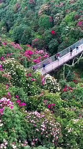 5.7M views · 528K reactions | Amazing view of nature, wonderful creation of God! Beauty of Japan ❤ | Most beautiful places ever seen | Facebook