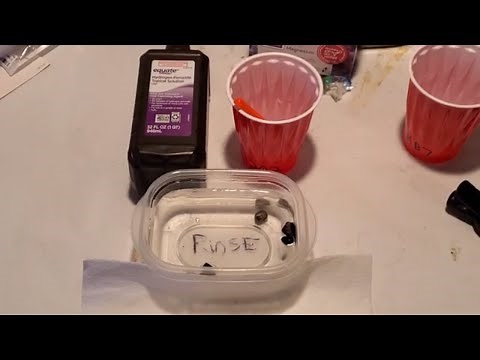 Cleaning Snails with Hydrogen Peroxide - Trochus Snail Algae Removal