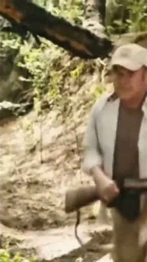 Goofy friends doing chaotic stuff