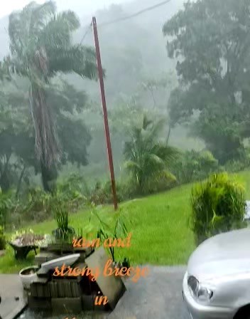 Trini Reports on Reels