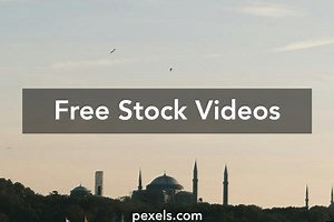 Free Nippybox+Ss+Sophia+Mp4 Videos