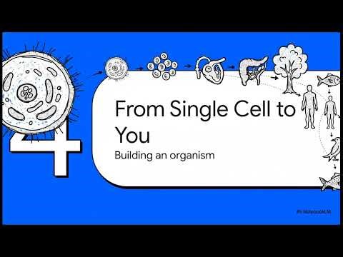 The Cell Explained Simply with Animations | Class 9 Biology | animations|Study.MotionIndia
