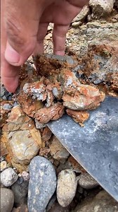 looking for gold using a chisel to break the rock containing gold
