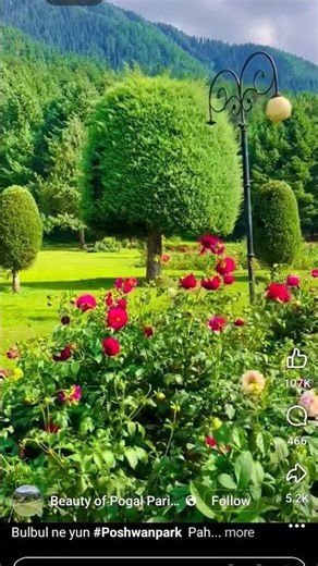 my first shot#imlisarhee