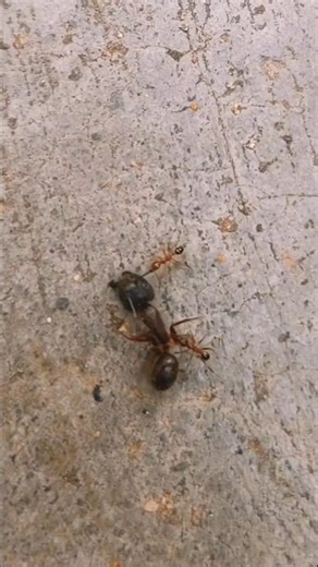 Strength is not just unity but strategy as well!!