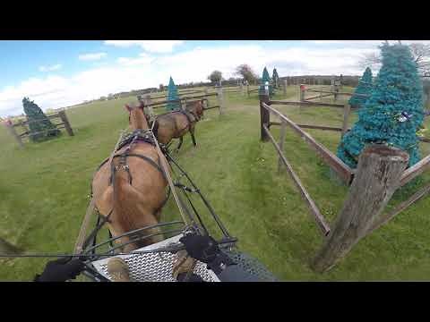 Ashfields Carriage Driving Competition May 2021