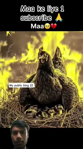 maa maa 🙏🥰 hoti hai..#viral #video #animals #viralshorts #viraltrending #viralreels