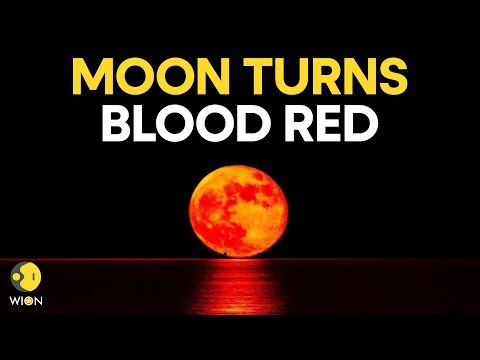 Blood Moon LIVE: Rare Total Lunar Eclipse Captivates The Sky! | Lunar Eclipse 2025 | WION