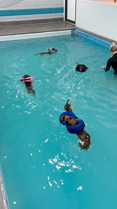 2.3M views · 48K reactions | The best school of fish I ever did see  Get 20% off your first induction swim at @k9swim_manchester with code DOS20 | Dash of Sausage | Facebook