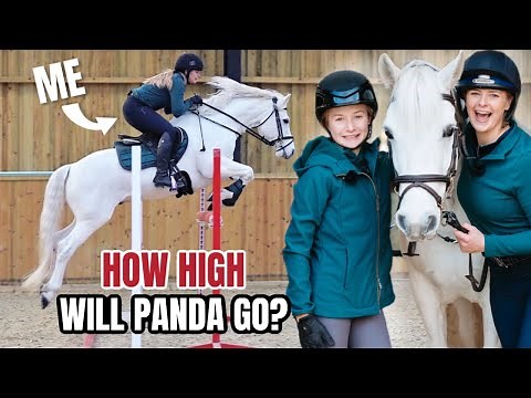 PONY SWAP WITH HARLOW AND PANDA!!