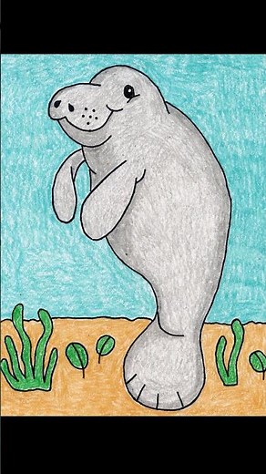 Easy Manatee Drawing Short Video for Kids