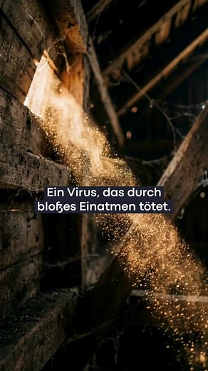 Hantavirus: Das tödliche Virus durch Mäusekot – Symptome & Schutz