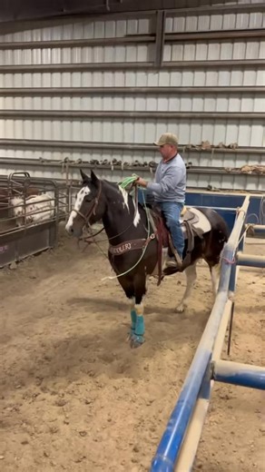 Joe Parks on Instagram: "#teamroping #teamropingislife #rodeo #worldseriesfinale #roping"